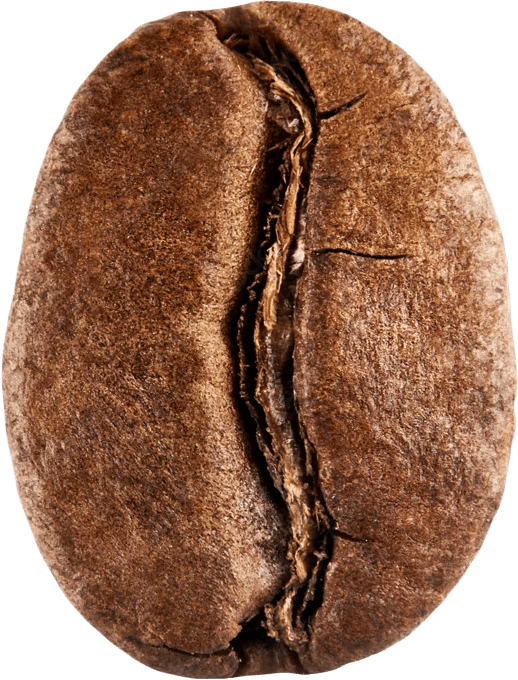 Coffee bean